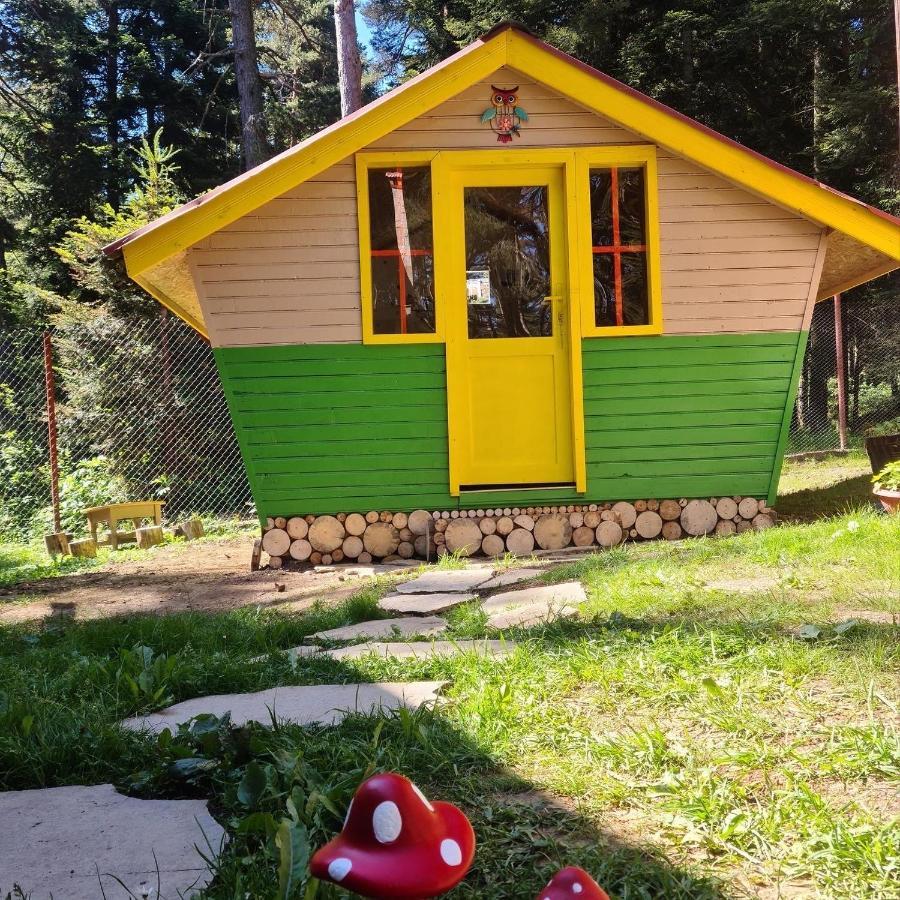 Вила Пенчеви, Кк. Цигов Чарк Exterior foto