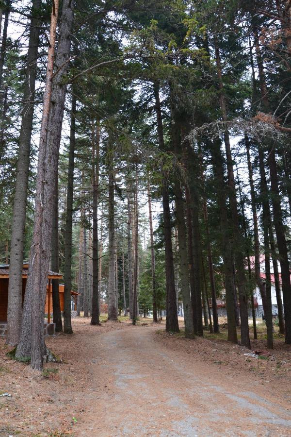 Вила Пенчеви, Кк. Цигов Чарк Exterior foto